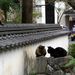 20070929_yamaguchitrip_01